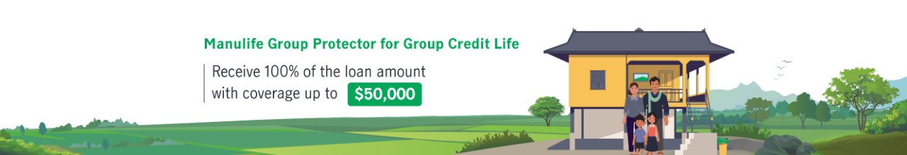 Group credit life insurance - life insurance